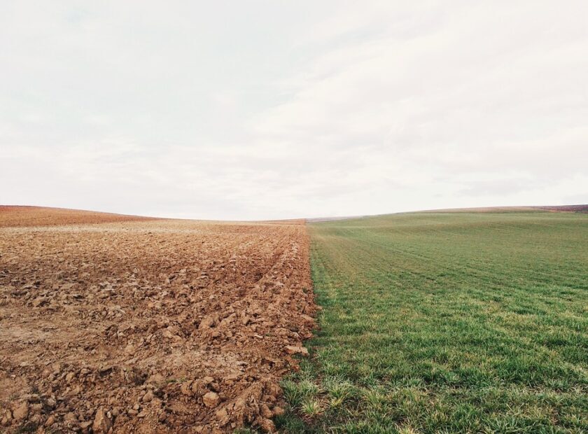 farmland-801817_960_720