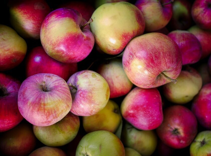 harvest-5262293_960_720 (002)