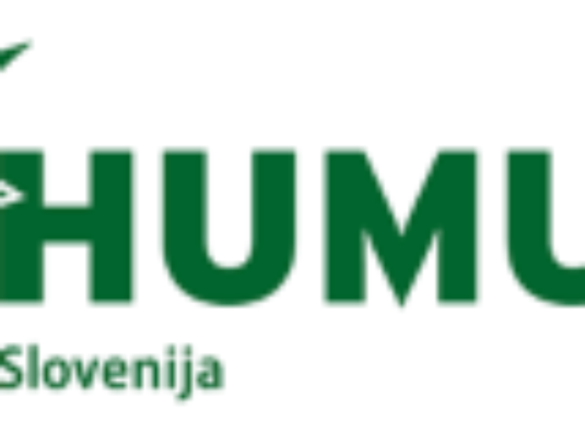 slika humus