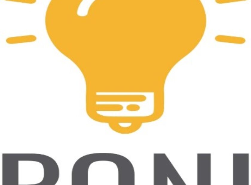 Poni