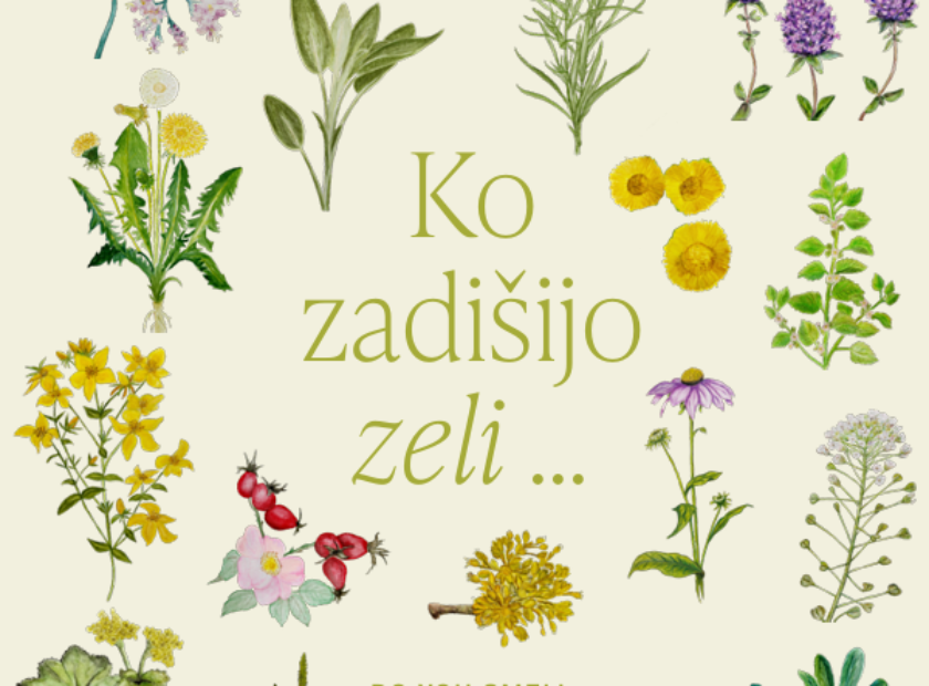 Posnetek zaslona 2025-02-20 130311