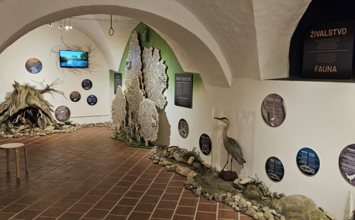 foto_KP-Reka-Bistrica-74-1024×473